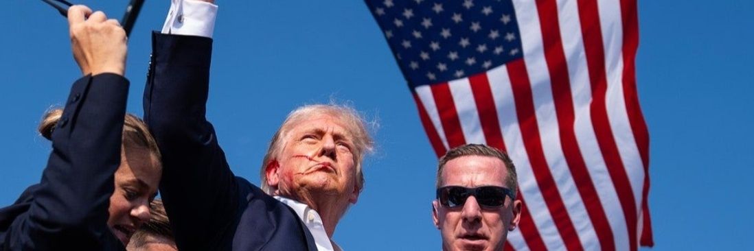 Ronnie V🇺🇸's banner