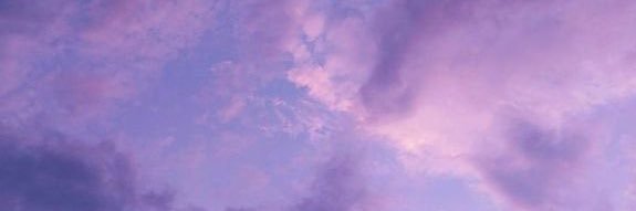 Put🤍's banner