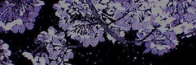 beryl 💜's banner