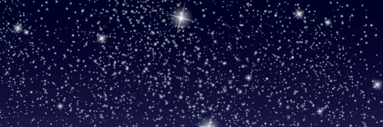 ɪᴄɪᴇʟ. 🐚's banner