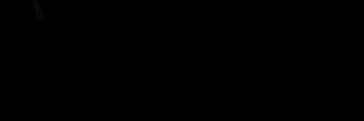 sofía's banner