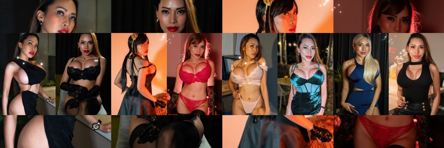 Dolce Doll's banner