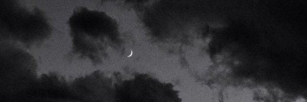 herman ⛧'s banner