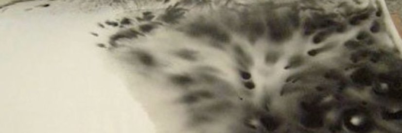HK ₊˚⊹'s banner