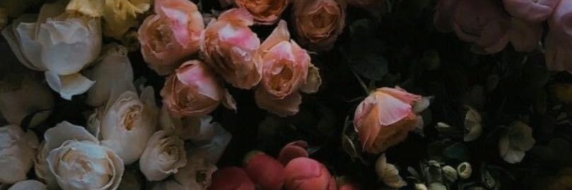 Lê Thư Mẫn's banner