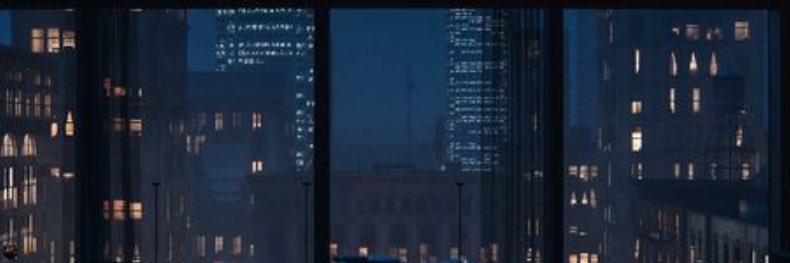 hil's banner