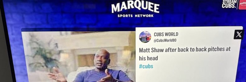 CUBS WORLD's banner