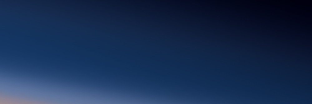 vici's banner