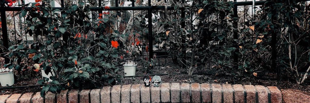 けう's banner