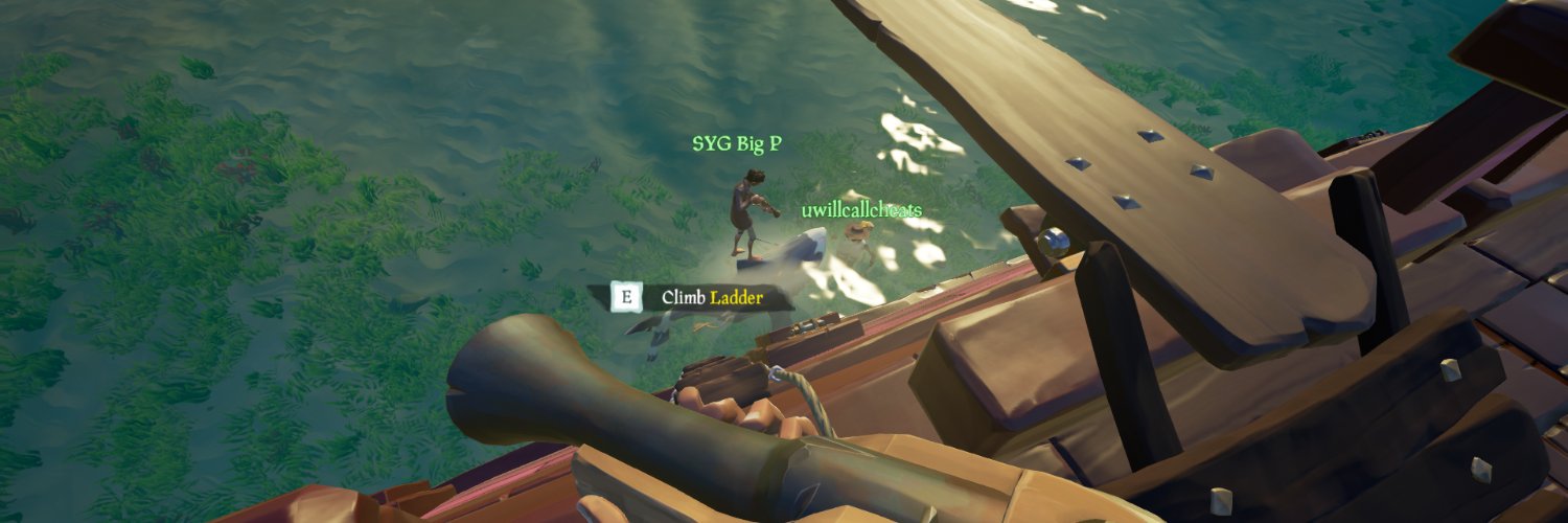 Rango's banner
