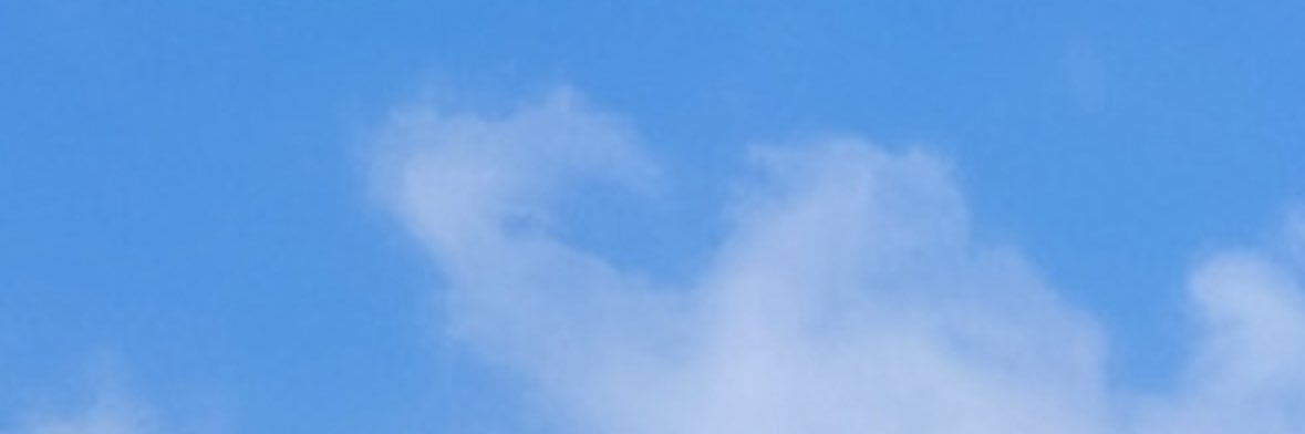 しろくまーくん's banner