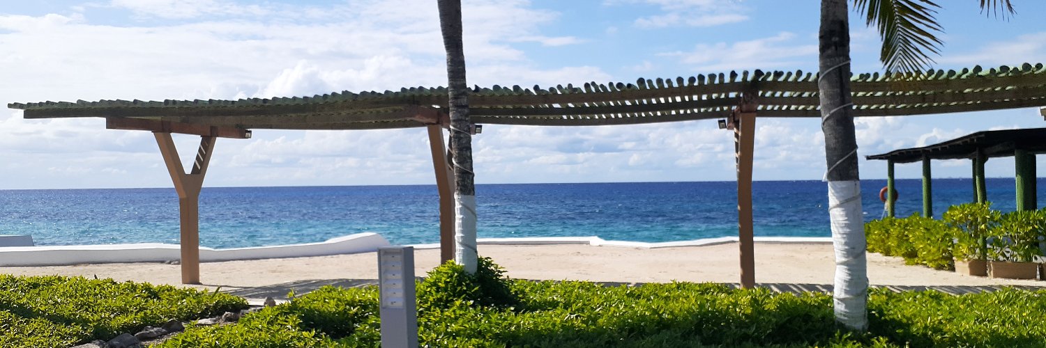 Aracely Sáenz's banner