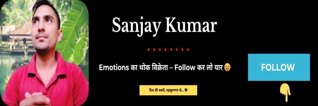 The Realist SANJAY's banner