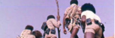EritreanPost 🇪🇷🇸🇴🇩🇯🇸🇩🇪🇬's banner