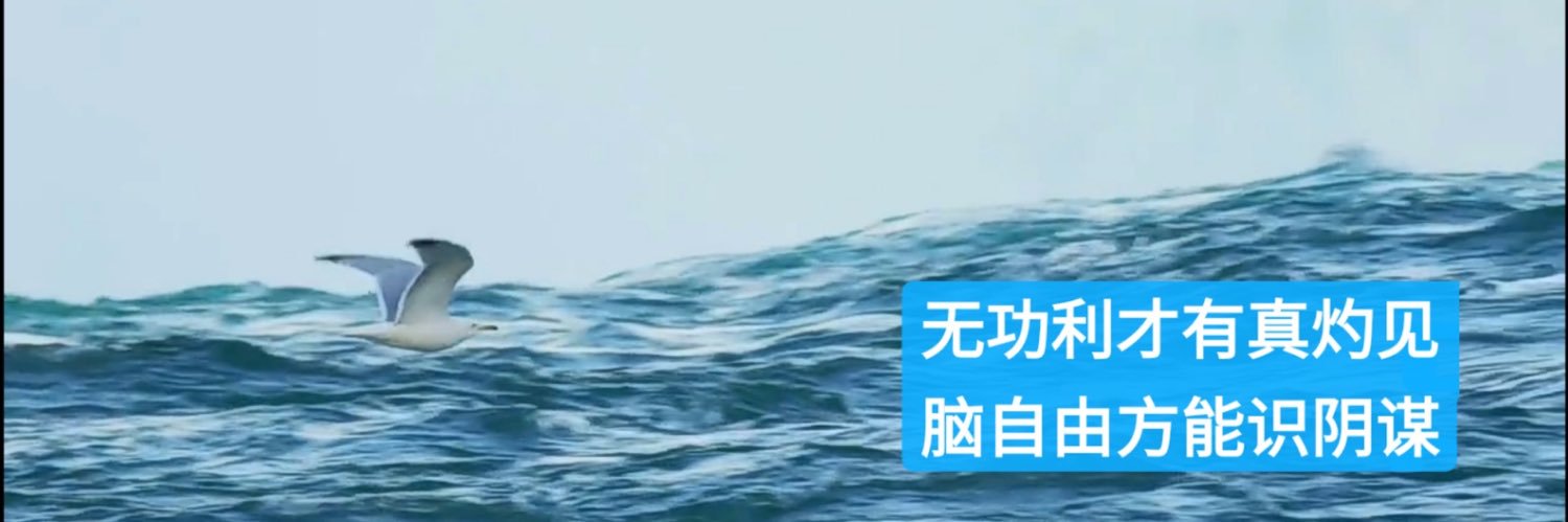 反洗脑专家（Anti-Brainwashing Expert）'s banner