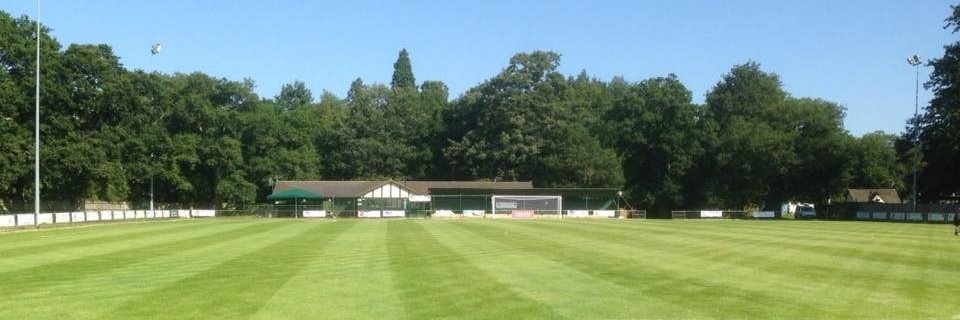North Leigh FC's banner