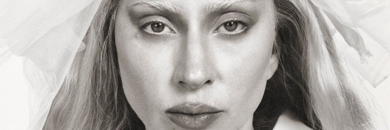 bia muller's banner