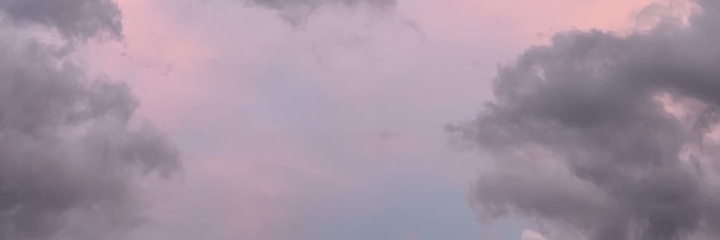 Dilan Mazharoglu's banner