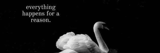 𝑅𝑢̈𝑦𝑎's banner