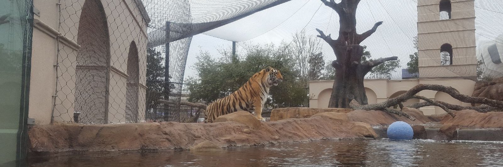 Mike VII's banner