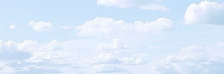 Ro 🦋's banner