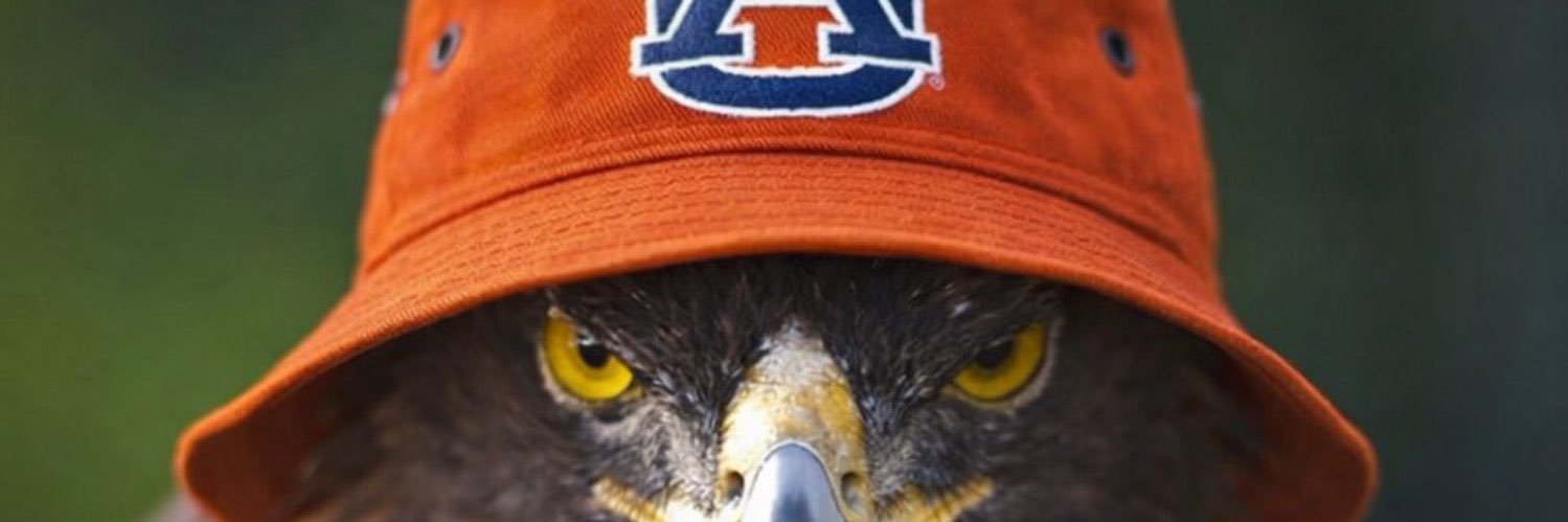 Top Tier Auburn's banner