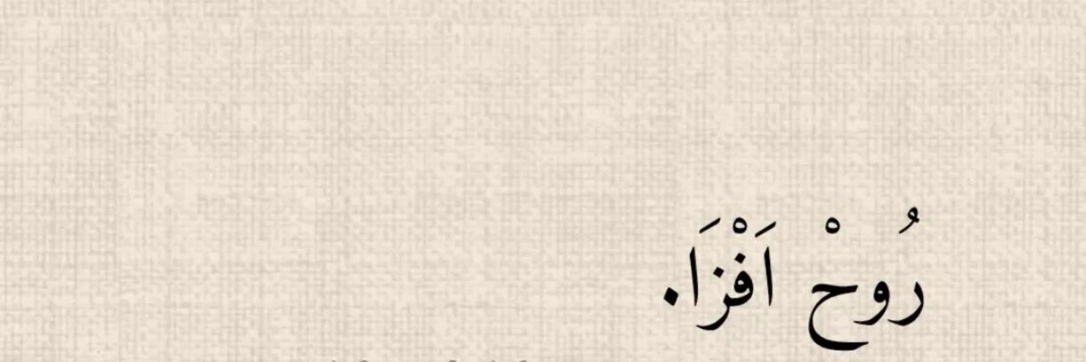 Zeynep's banner