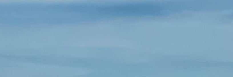 Sydney Sweeney Stan's banner