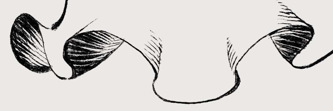 わ's banner