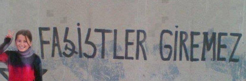 didem's banner