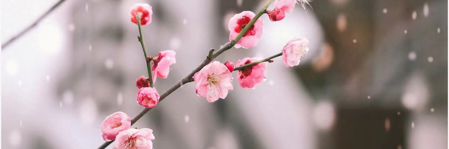 山雀渣渣（互fo）'s banner