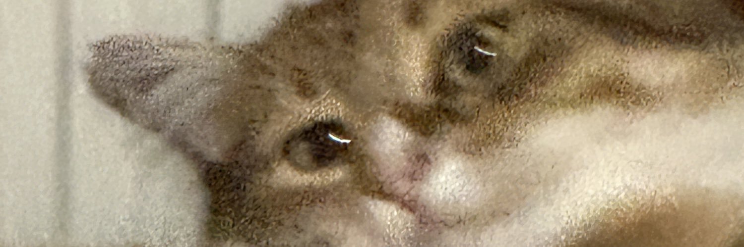 цьом цьомич's banner