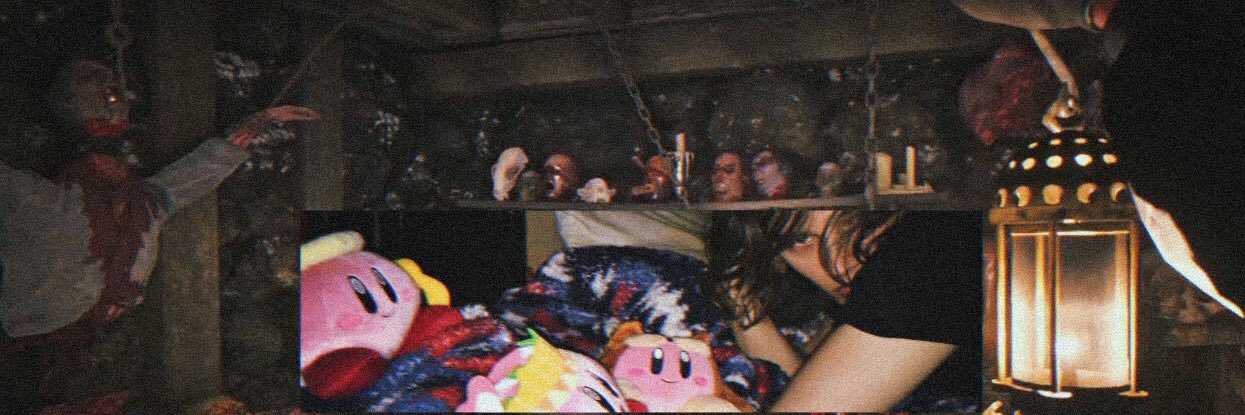 reallybigdoggy 🛸🦨💨's banner