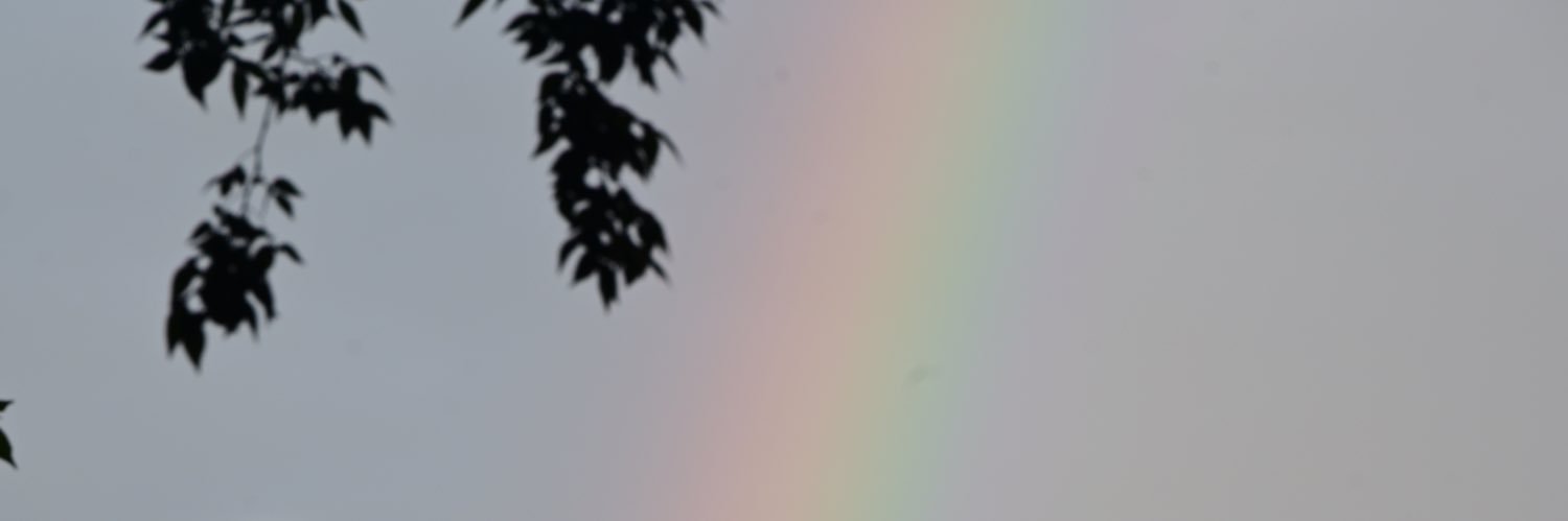 树荫下长眠's banner