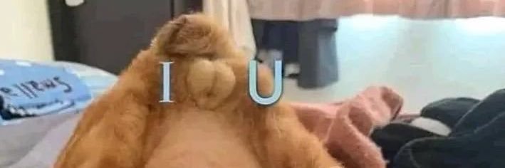 minijuju's banner