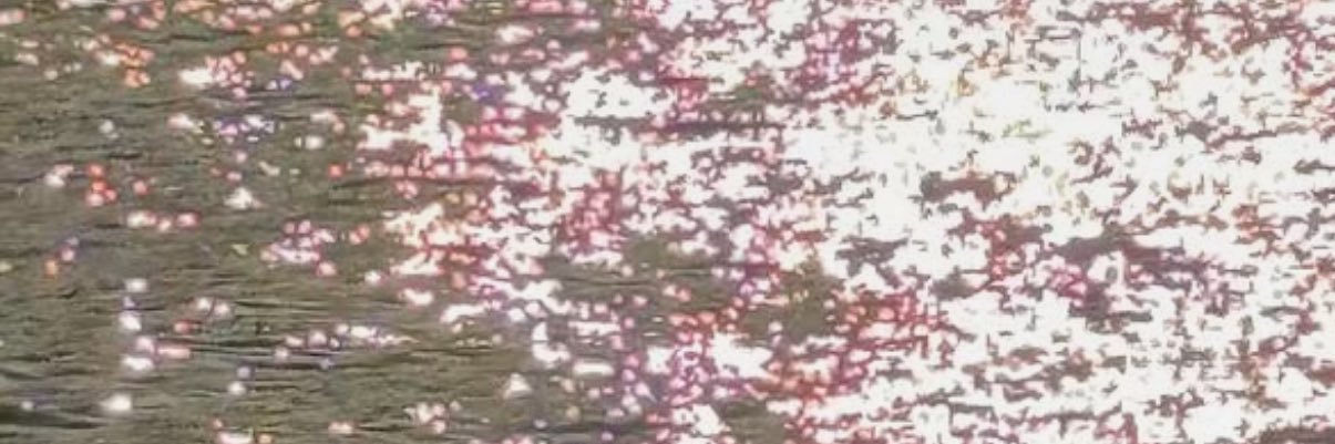 온's banner