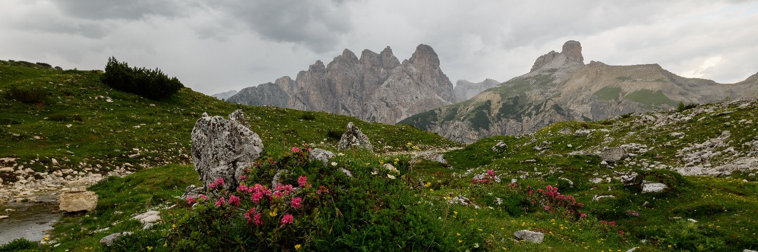 Travel Hiking View's banner