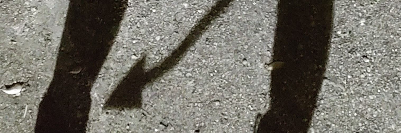 どんぐり's banner