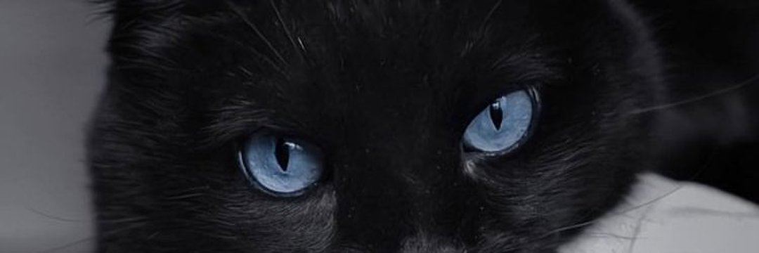 𝐌 𝐄 𝐃's banner