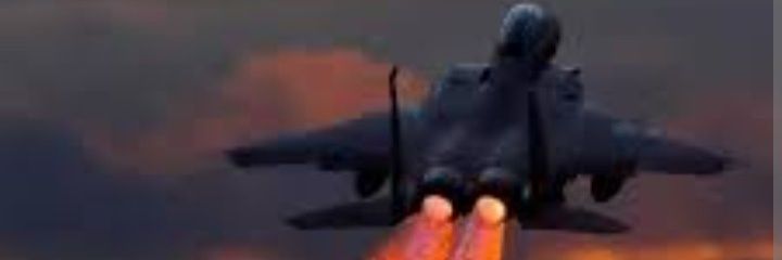 F-15 Eagle Vet🇺🇸's banner