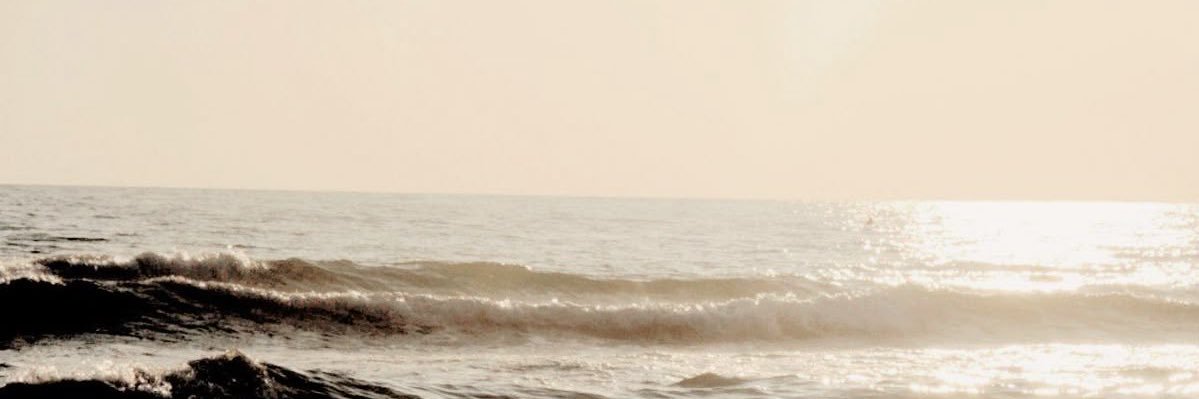 ween ❀'s banner