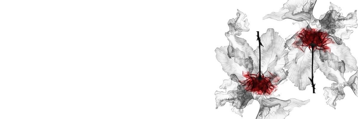 🕷️'s banner