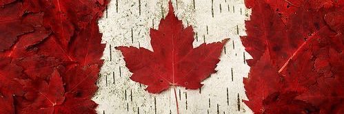Cool Glamma 🇨🇦🇺🇦🇦🇺☮️'s banner
