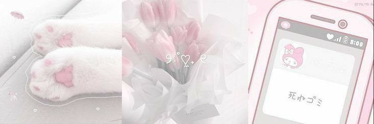 ⋆₊ nikki ⟡'s banner
