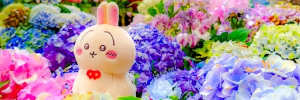 うぉず❤︎'s banner