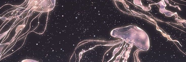venta 𝜗𝜚's banner
