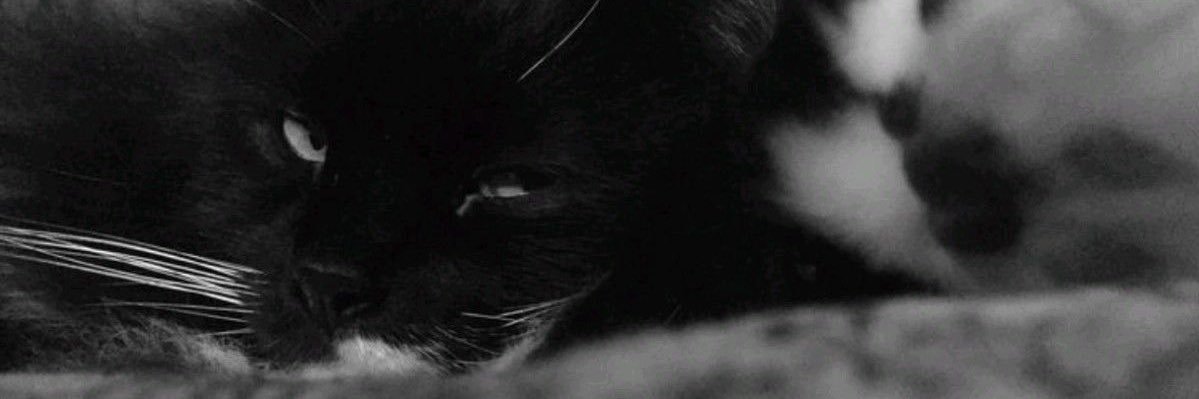 lulu *.☽ .* :☆ﾟ.'s banner