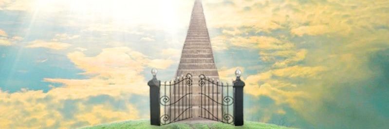 Dye-zion's banner