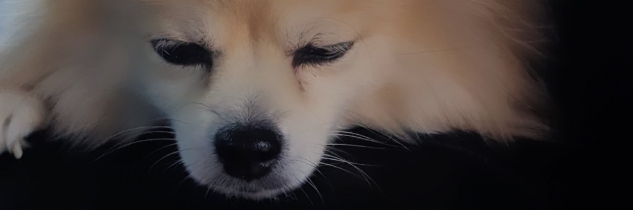 Waymay's banner