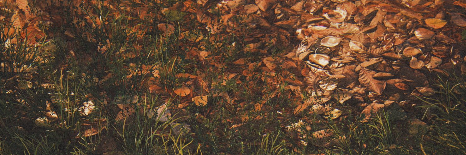 jenna's banner